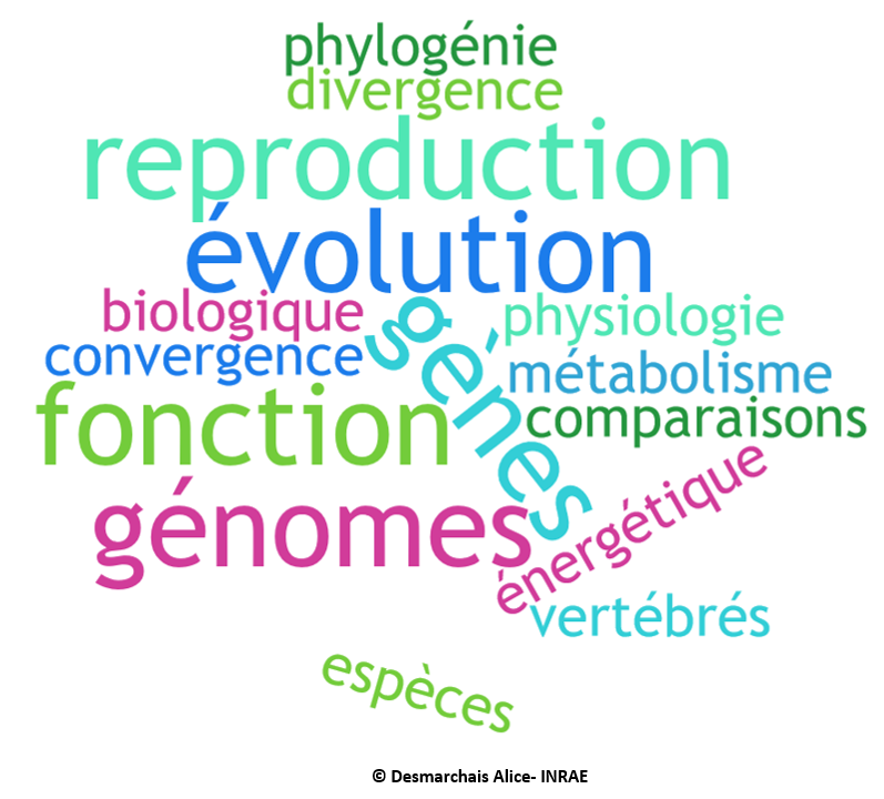 Génomique comparative et évolutive des fonctions liées à la reproduction